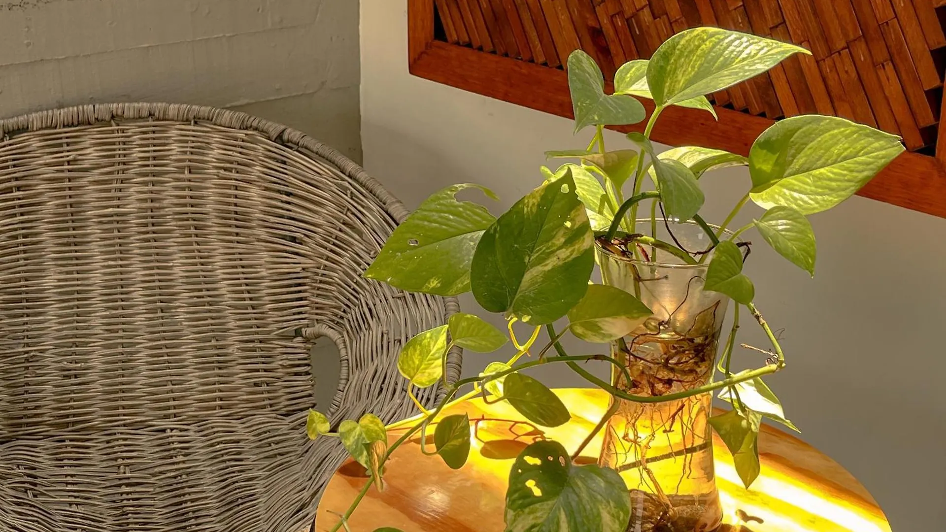 Luxury Penthouse Three-Stories At Madara Tulum Lejlighed